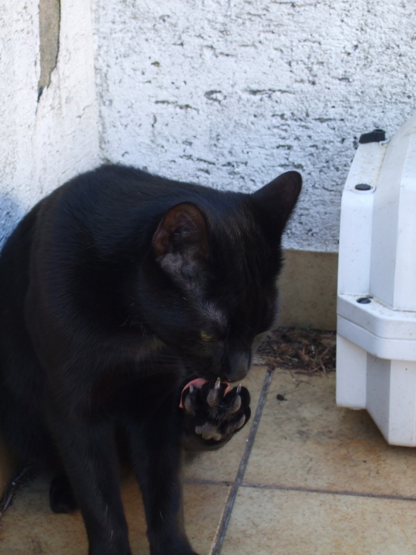 Ostern 2007 Orleshausen 043 